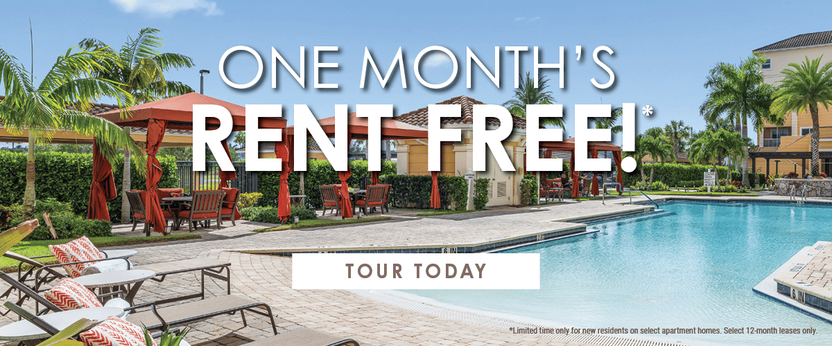 DVF-IL-0316-Slider_One_Months_Rent_Free_January_2026_1200_x_500